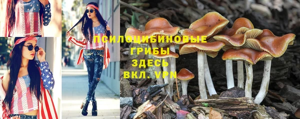 крисы Арсеньев